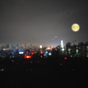 嗯啊熟乳岳怀孕好深
